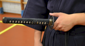 Tomo no Kai: Workshop Iaido