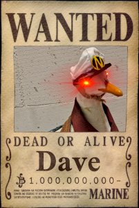 The Dutch Grand Fleet